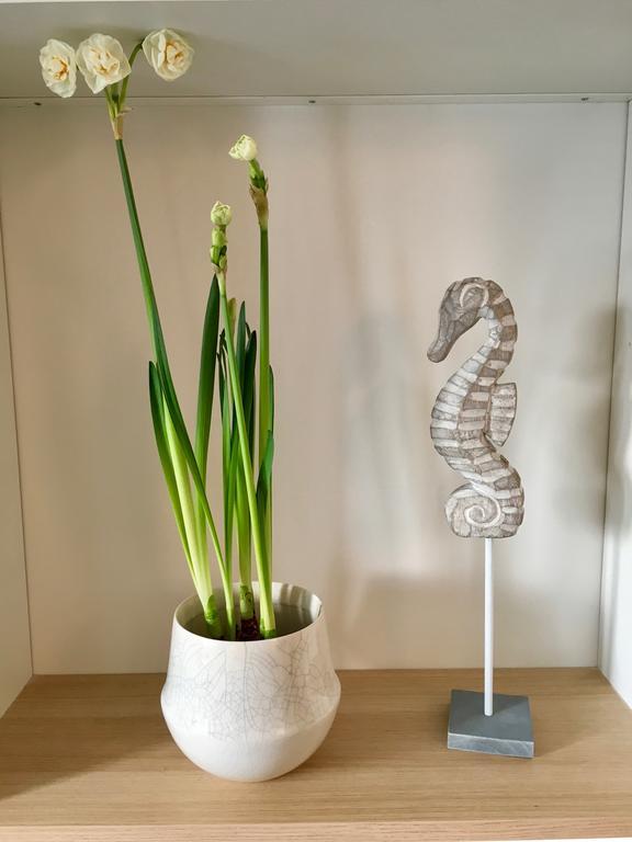 Ocean Apartment Saint-Malo Luaran gambar